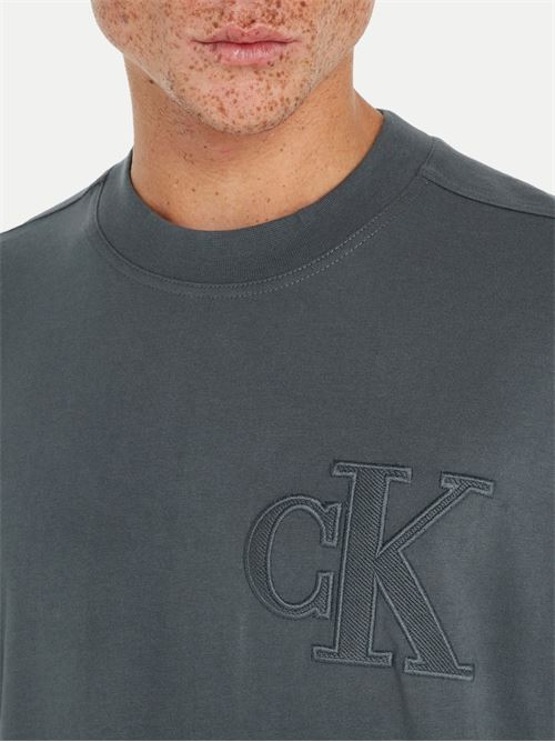 ck applique tee CALVIN KLEIN JEANS | J30J325657PSL